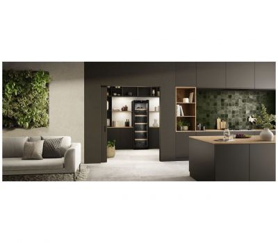 Винный шкаф Liebherr WPbl 5001-20 001