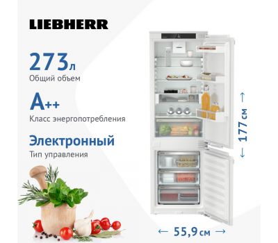 Встраиваемый холодильник Liebherr ICd 5123