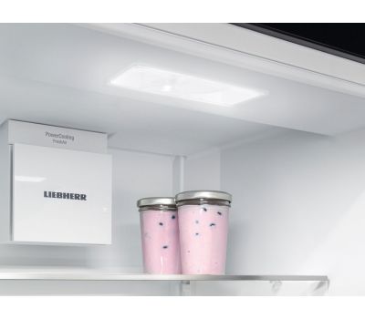 Встраиваемый однокамерный холодильник Liebherr IRBSd 5120-22 001 BioFresh