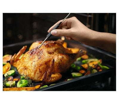 Электрический духовой шкаф Electrolux EOD6P77WZ, с термощупом, пиролитическая очистка, черный