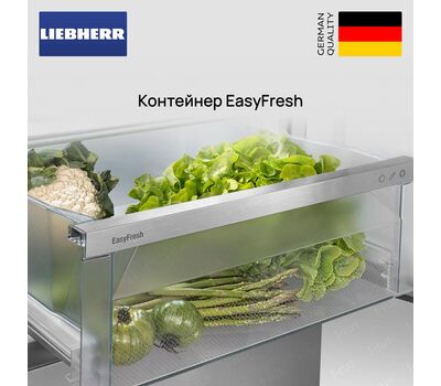 Комбинированный холодильник-морозильник  CNdgc 5703 pure NoFrost