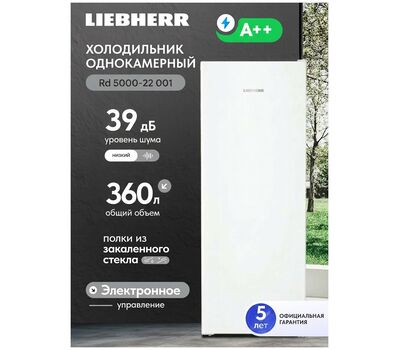 Однокамерный холодильник Liebherr Rd 5000-22 001