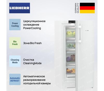 Холодильник Liebherr RBa30 425i