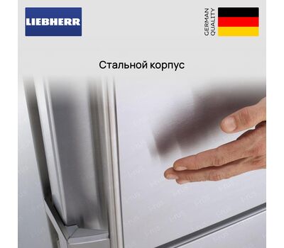 Морозильник Liebherr FNe 4605