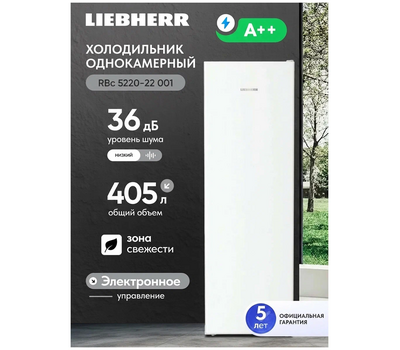 Однокамерный холодильник Liebherr RBc 5220-22 001 BioFresh