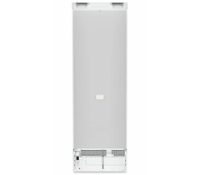 Однокамерный холодильник Liebherr RBc 5220-22 001 BioFresh